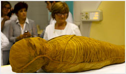 Museum Secrets Interactive Museum Secrets Interactive